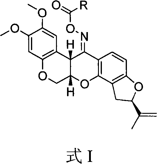 Spin-labeling rotenone oxime ester, its preparation method and application