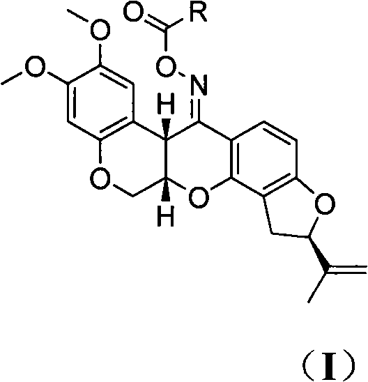 Spin-labeling rotenone oxime ester, its preparation method and application