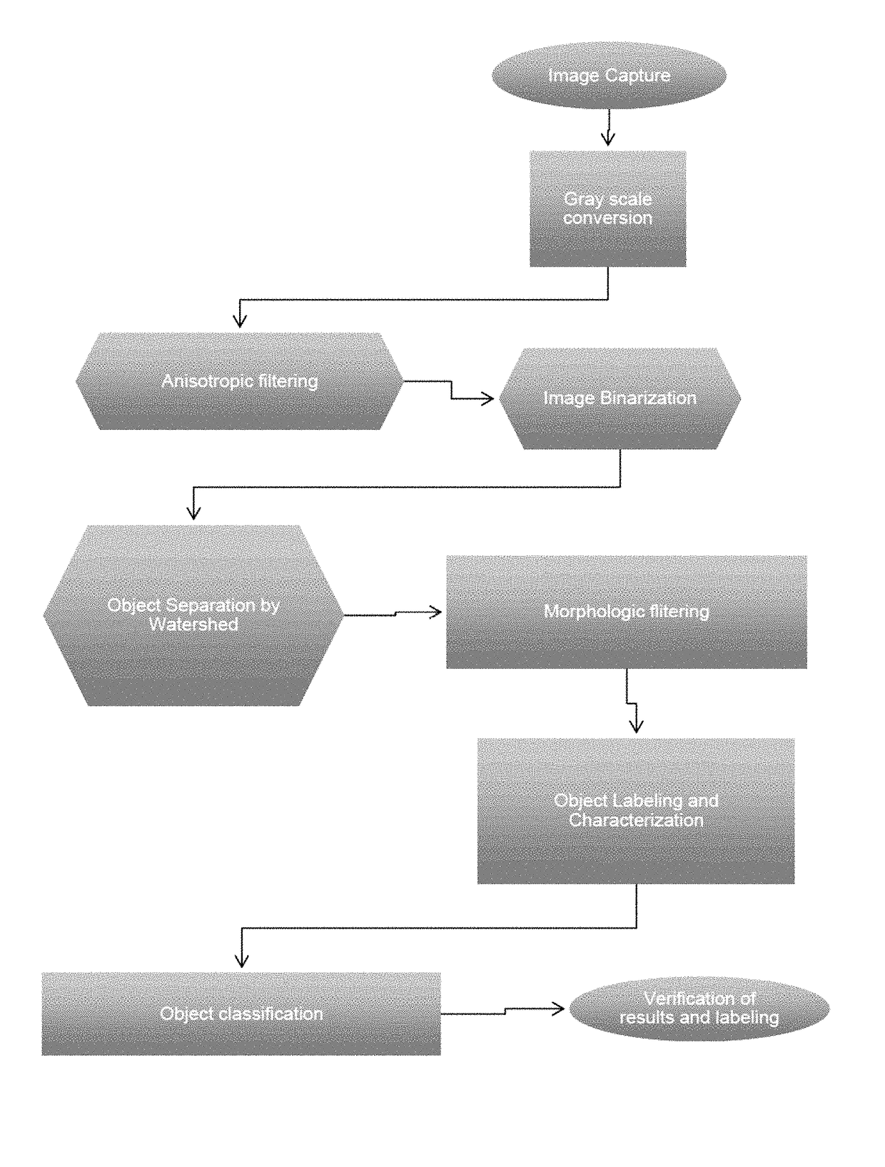 System for the identification and quantification of helminth eggs in environmental samples