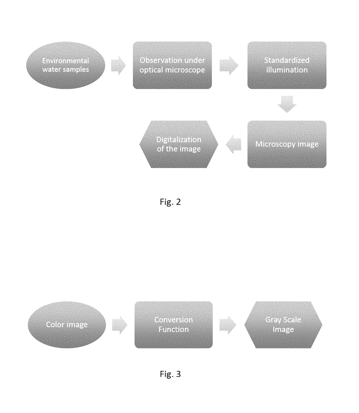 System for the identification and quantification of helminth eggs in environmental samples