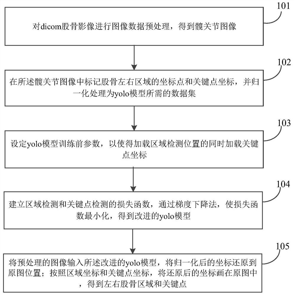 Femoral region and key point detection method and system