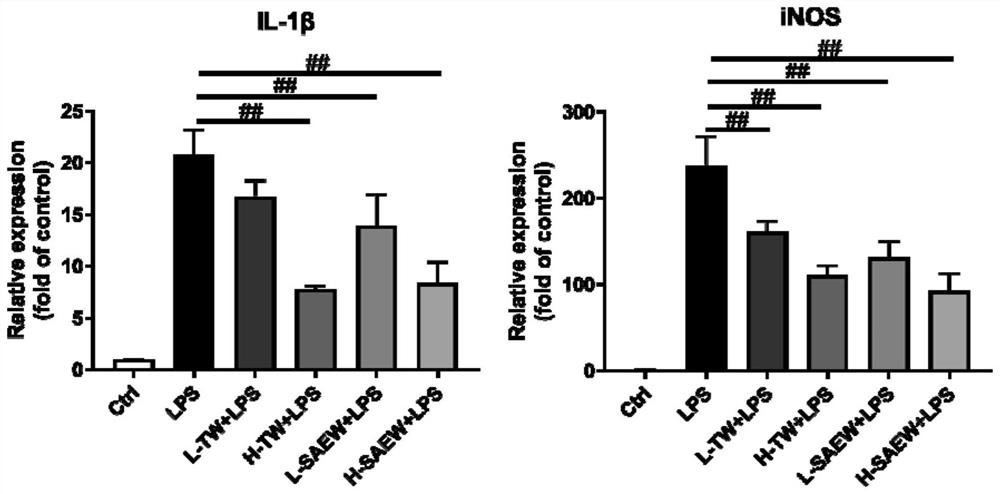 Preparation method of broccoli bud seedling extract and anti-inflammatory activity of broccoli bud seedling extract