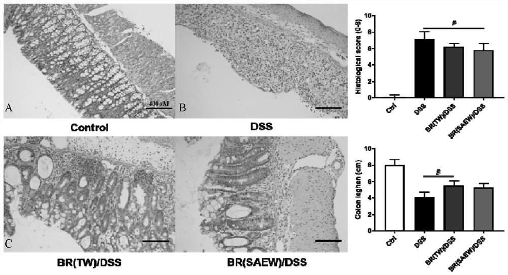 Preparation method of broccoli bud seedling extract and anti-inflammatory activity of broccoli bud seedling extract