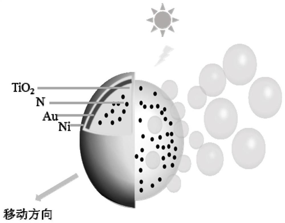 A preparation method of light-driven micro-robots for environmental restoration