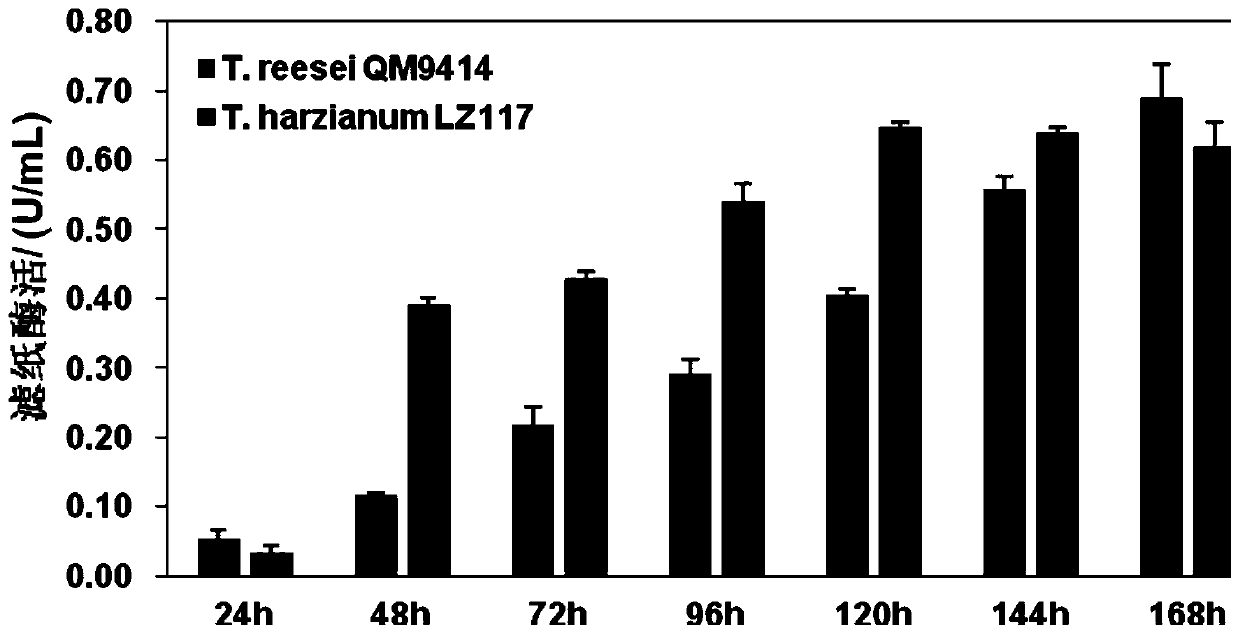 Trichoderma harzianum strain from Tibet for producing cellulase and application of trichoderma harzianum strain