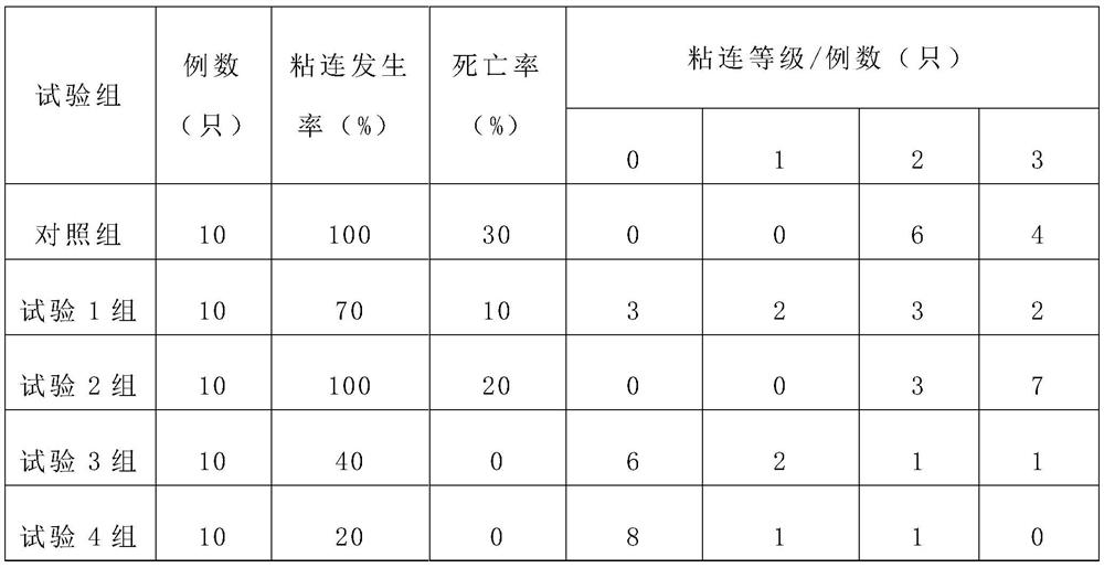 Application of vegf monoclonal antibody combined with nano-paclitaxel in the preparation of drugs for the treatment of cancerous abdominal adhesions