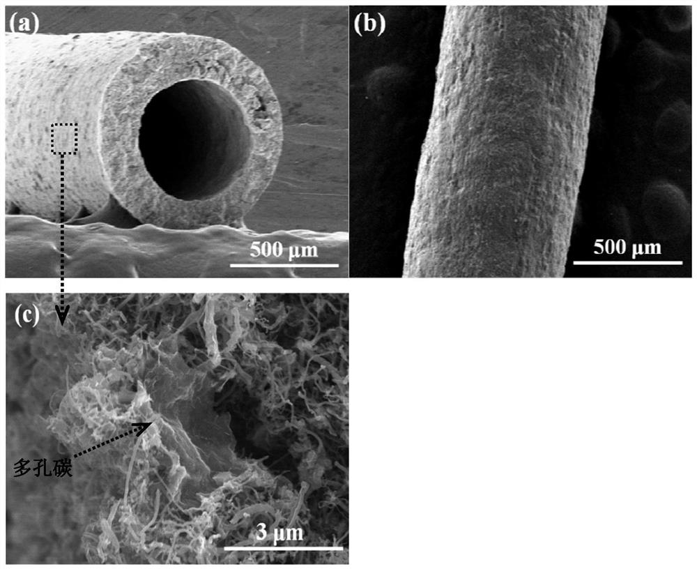 A preparation method of porous carbon-carbon nanotube hollow fiber membrane that generates hydroxyl radicals under electrochemical strengthening