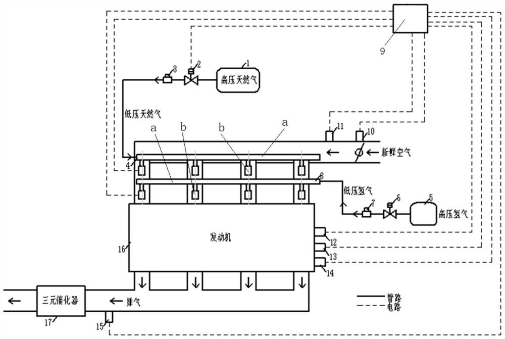 Natural gas and hydrogen double-injection device and control method utilizing same