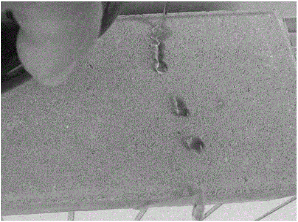 Non-toxic anticorrosive mildew-proof nano coating as well as preparation and application methods thereof