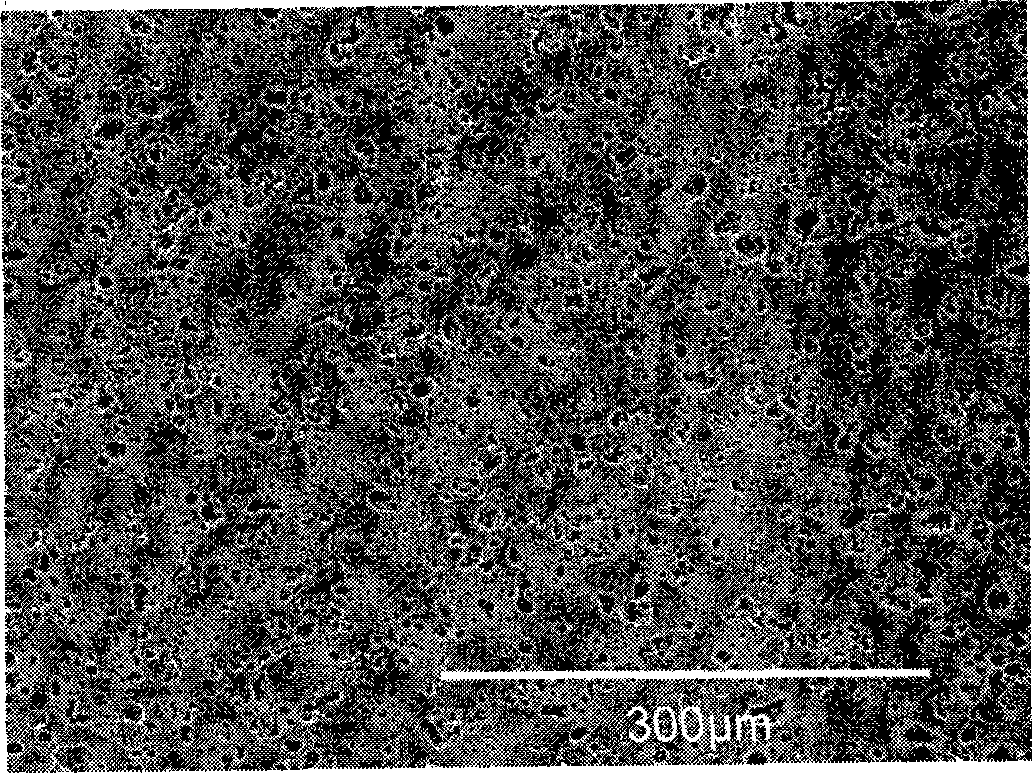 Low expansion heat resisting porous ceramic and preparation thereof