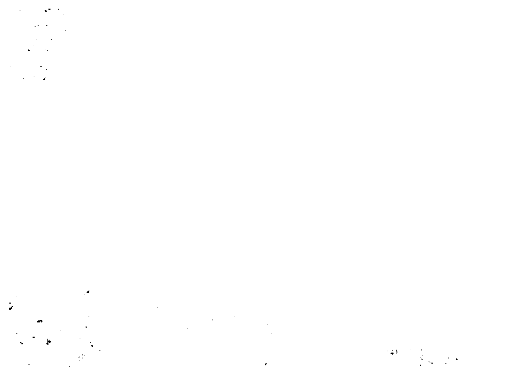 Electrospinning preparation method of BiVO4 (bismuth vanadium oxide) fibers