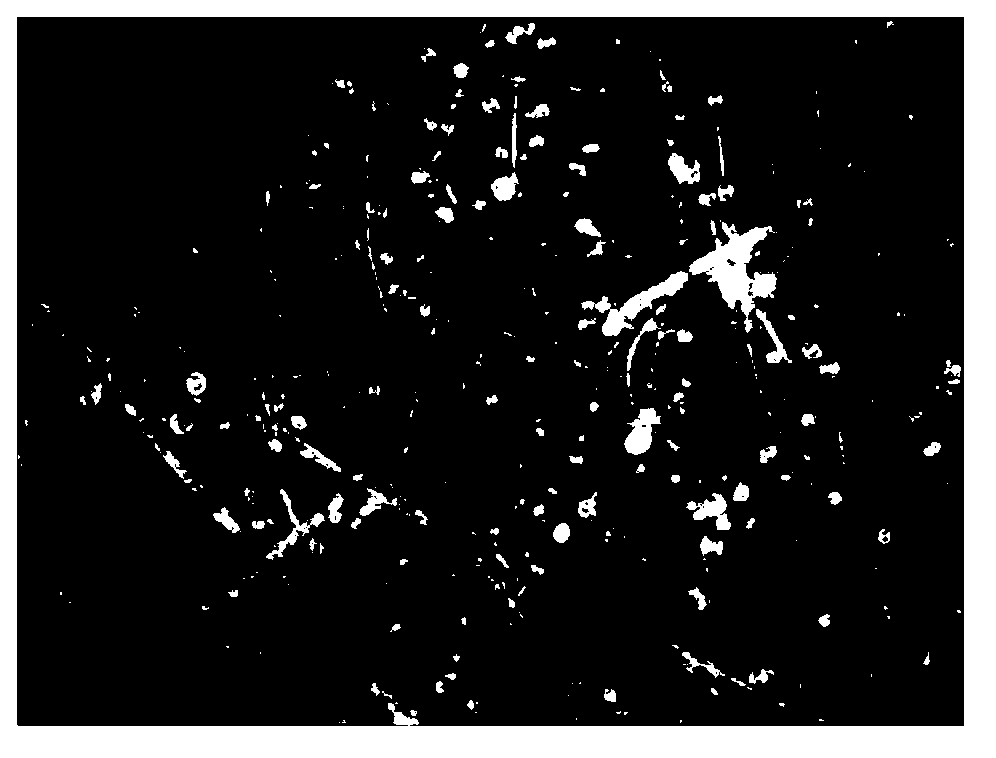 Electrospinning preparation method of BiVO4 (bismuth vanadium oxide) fibers