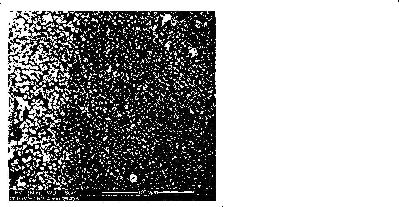 Ultra-hydrophobic surface coating material and preparation method thereof