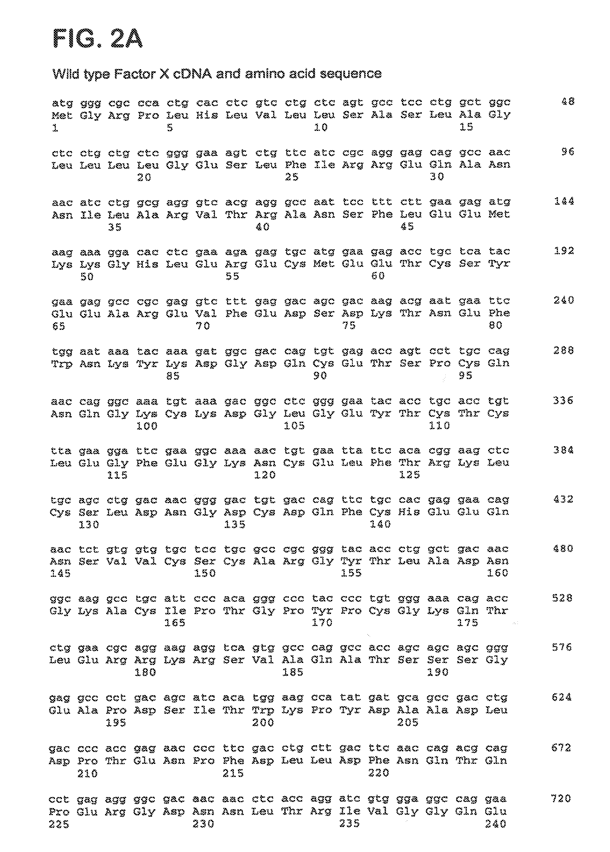 Coagulation factor X polypeptides with modified activation properties