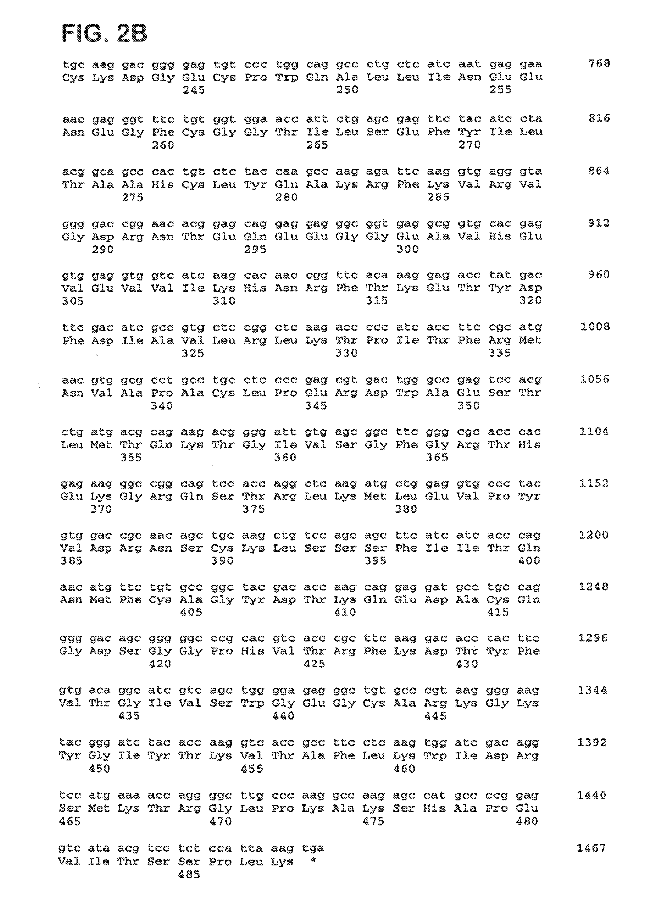 Coagulation factor X polypeptides with modified activation properties