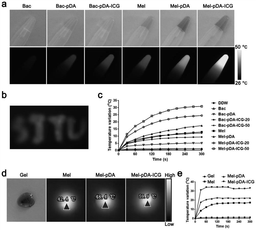 Bacteria modified by photo-thermal agent and preparation method and application thereof