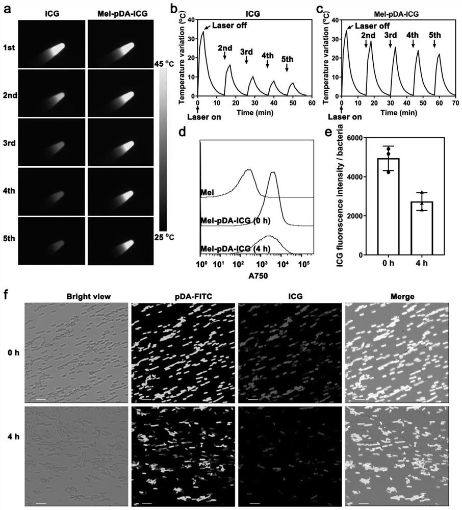 Bacteria modified by photo-thermal agent and preparation method and application thereof