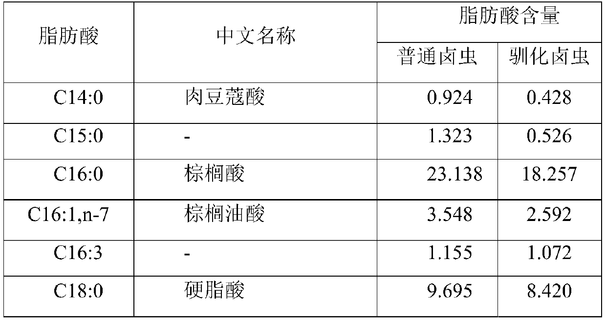 Rapidly proliferated brine shrimp in high-temperature and high-salinity environments and domestication method thereof