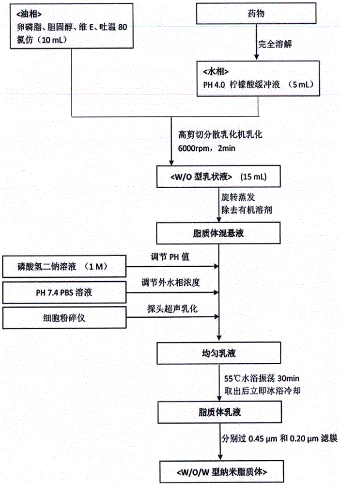 Cordycepin nanometer liposome, preparation method, and antitumor activity applications thereof