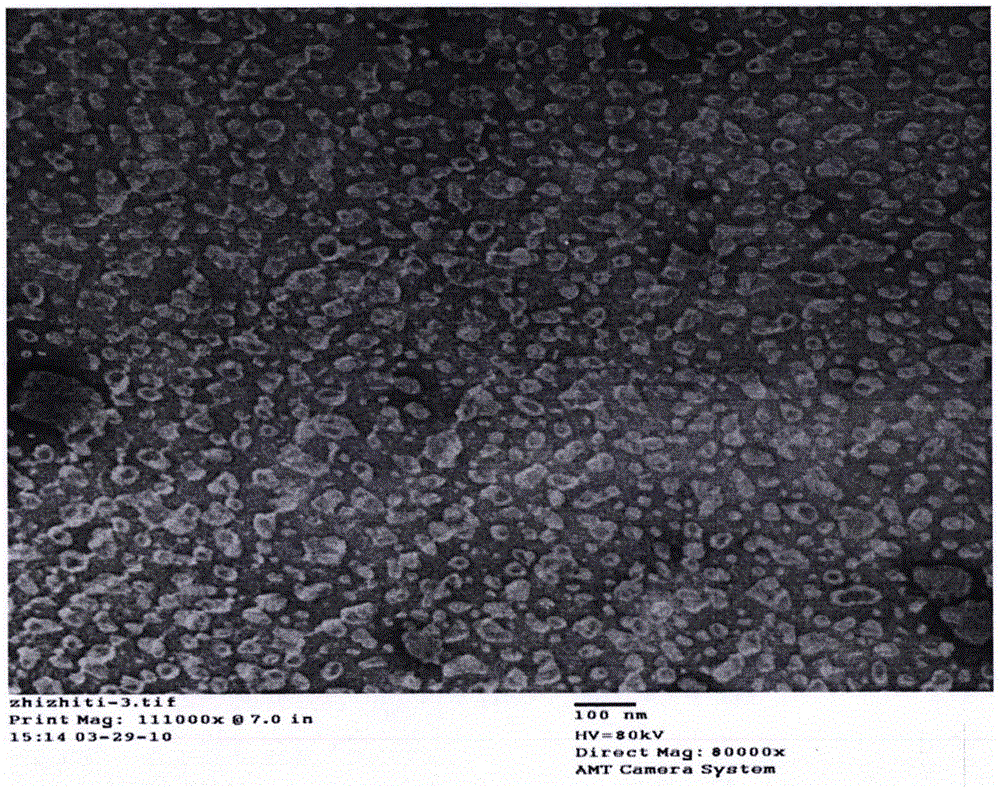 Cordycepin nanometer liposome, preparation method, and antitumor activity applications thereof