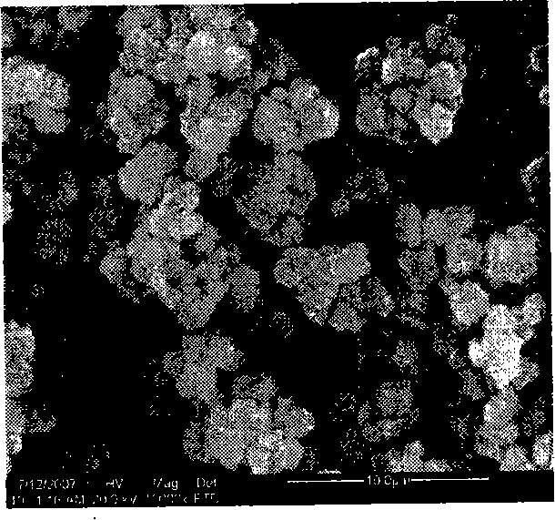 Sulfalene oxazole molecular engram polymer producing method