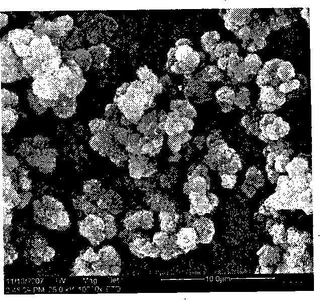 Sulfalene oxazole molecular engram polymer producing method