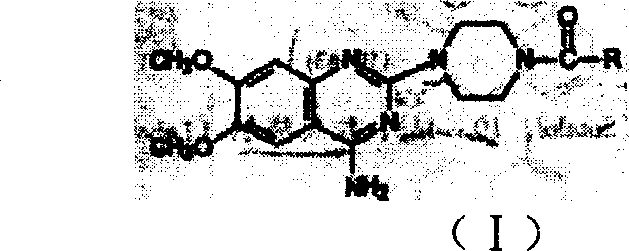 Paint for treating benign prostate hyperplasia and its use