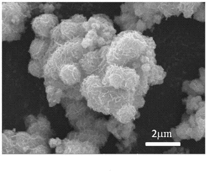 Molybdenum disulfide/carbonyl iron composite microwave absorbent with core-shell structure and preparation method of molybdenum disulfide/carbonyl iron composite microwave absorbent