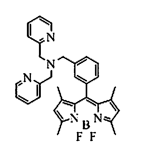 Copper ion fluorescence probe and synthetic method thereof