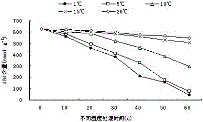 A method for releasing epicotyl dormancy of Fengdan seeds