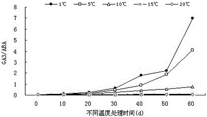 A method for releasing epicotyl dormancy of Fengdan seeds