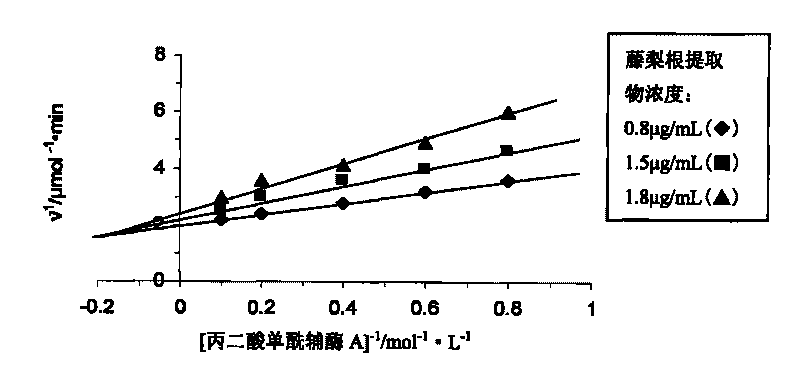 Extract of yangtao actinidia root and preparation method and applications thereof