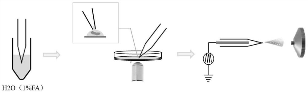 Analysis method for identifying bacteria and testing antibiotic sensitivity in biological sample