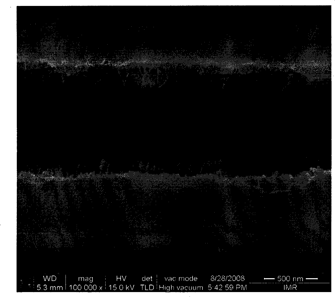 Carbon nano-tube film supported on an aluminum substrate and preparation method thereof