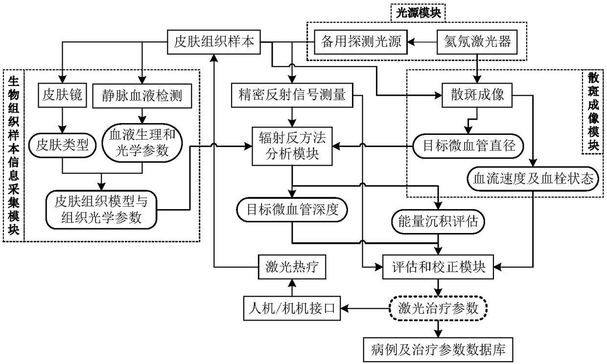 Measuring system for estimating skin tissue microvascular depth