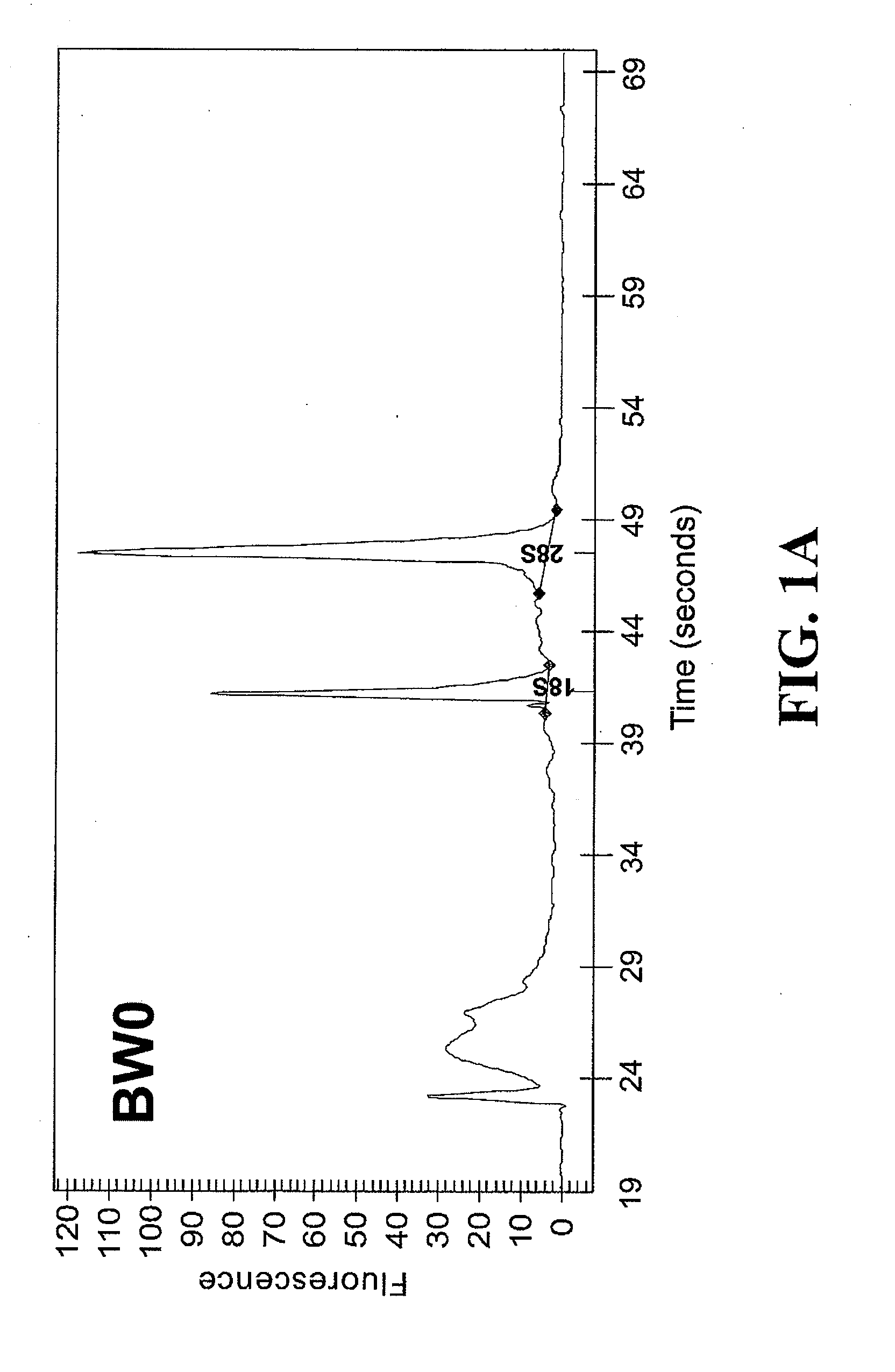 Bladder cancer diagnosis and/or prognosis method