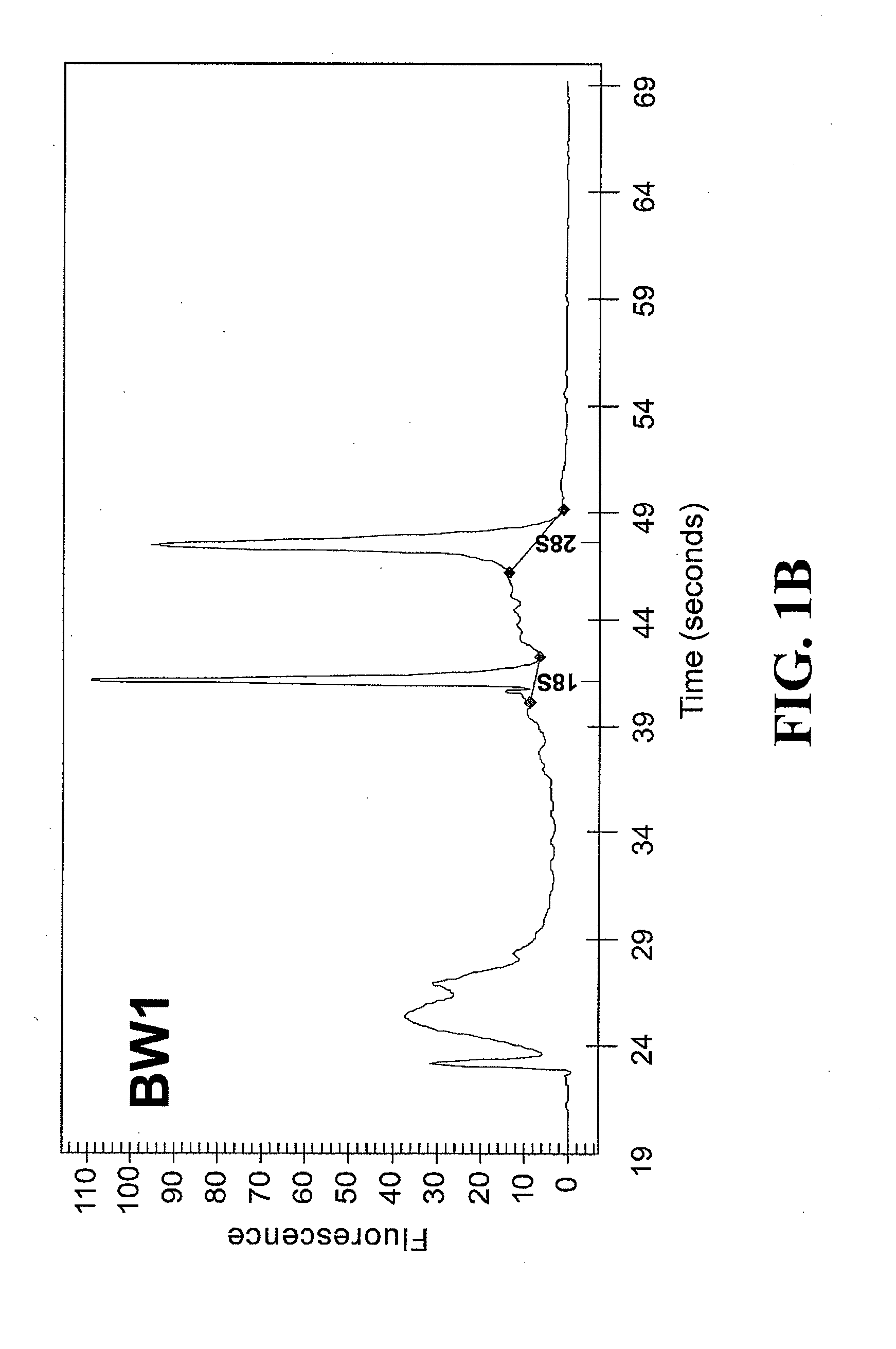 Bladder cancer diagnosis and/or prognosis method