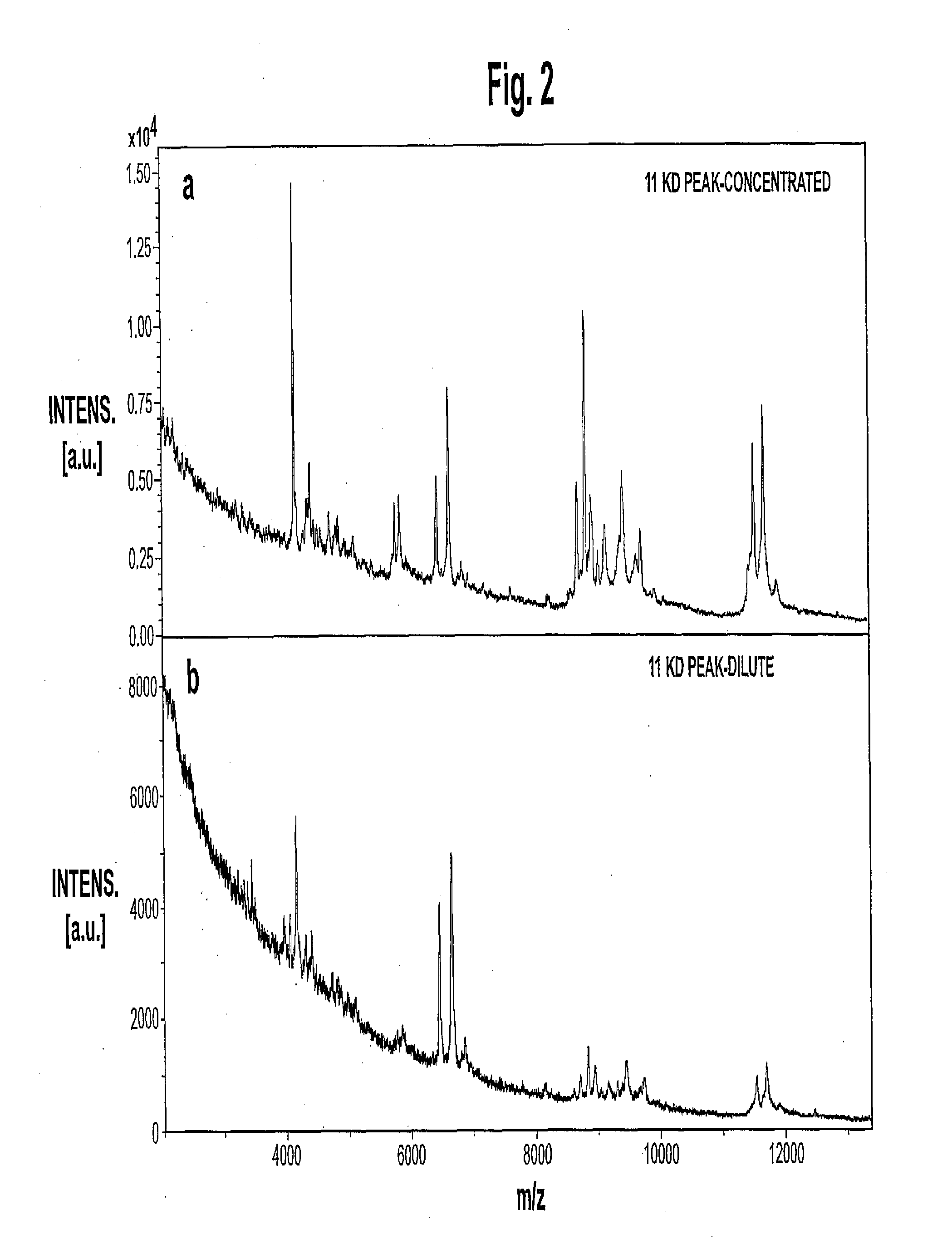 Methods And Marker Combinations For Screening For Predisposition To Lung Cancer