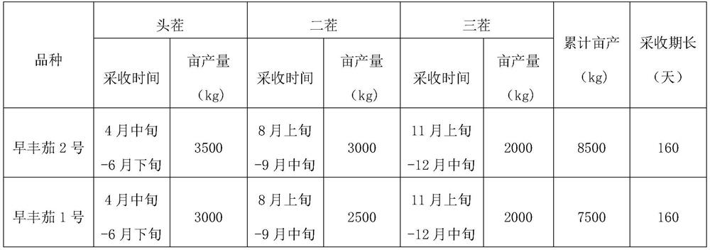 Regeneration cultivation method of eggplants