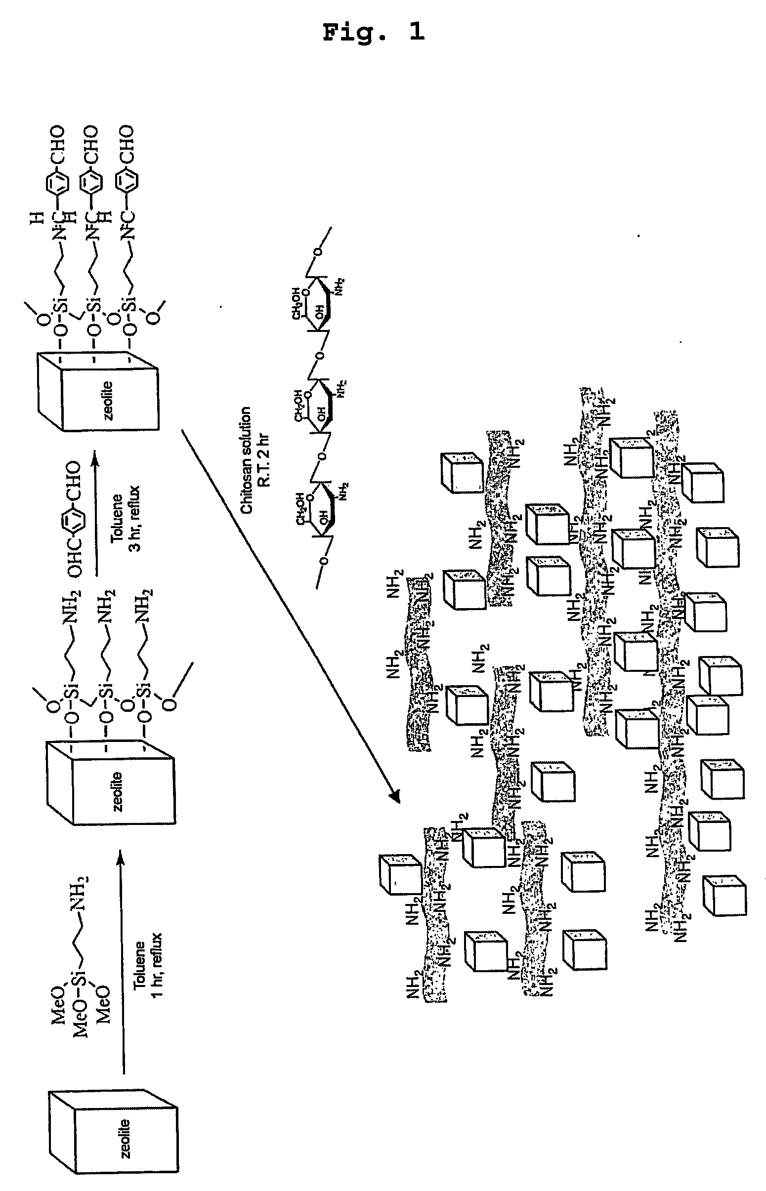 Process for preparing porous hybrid comprising zeolite and chitosan and poruos hybrid prepared thereby