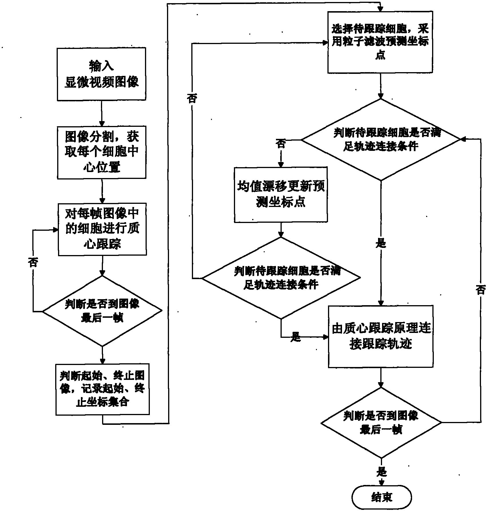 Centroid tracking framework based particle filter and mean shift cell tracking method