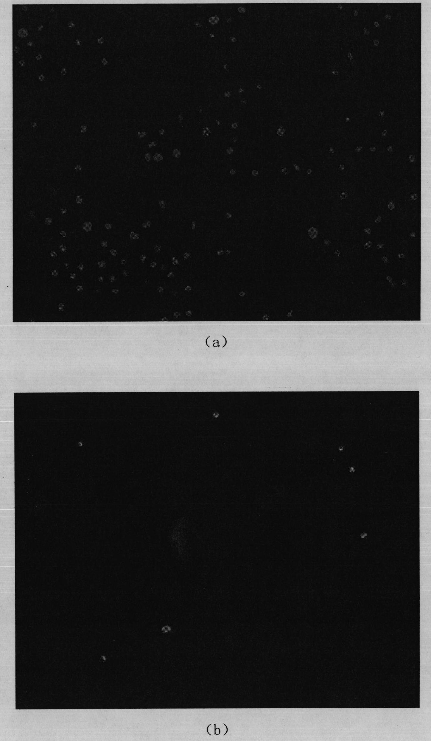 Centroid tracking framework based particle filter and mean shift cell tracking method