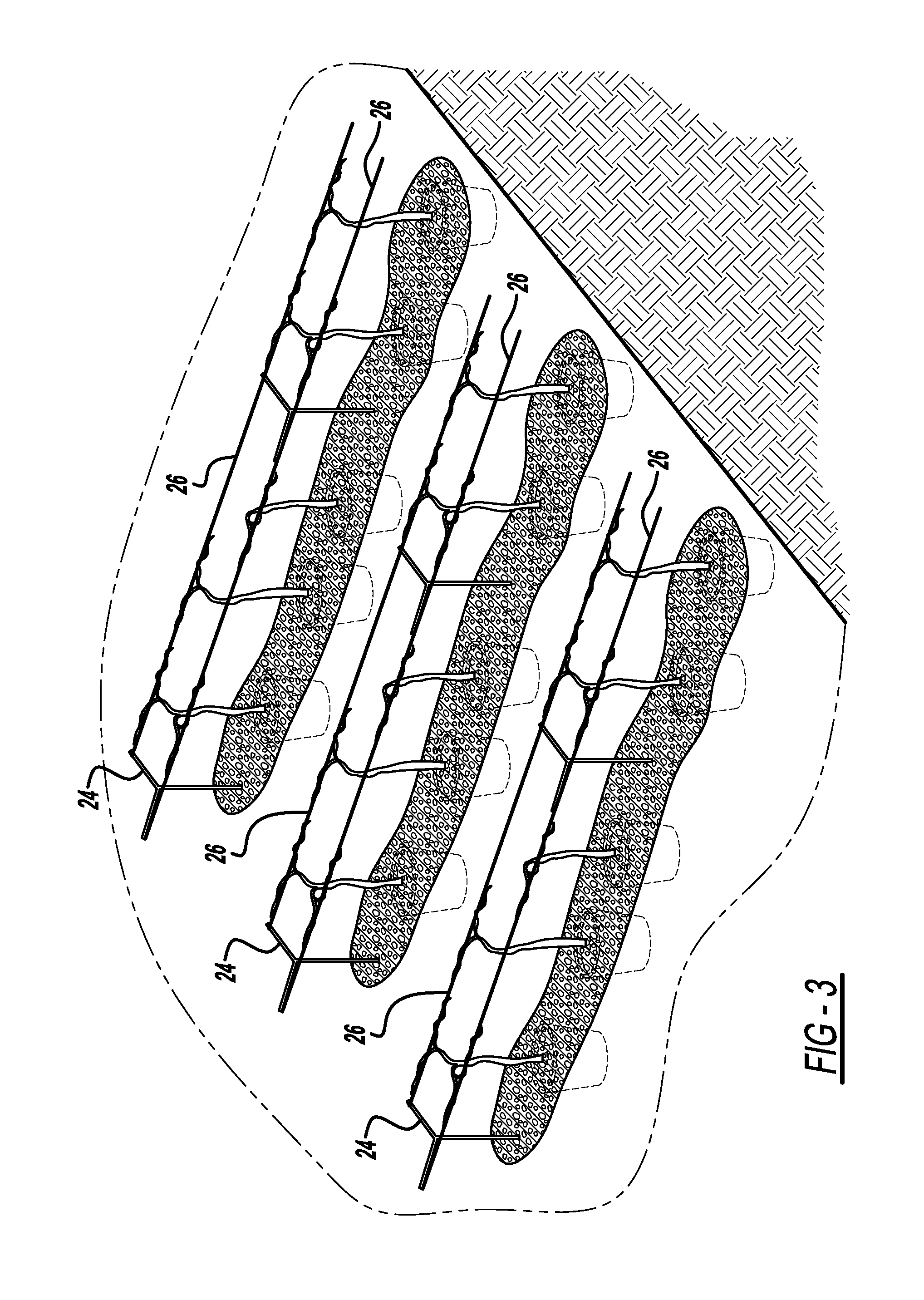 Method of Growing Grapevines