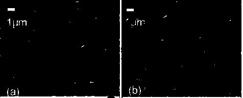 Method for preparing GIGS solar cell by applying one-step sputtering method