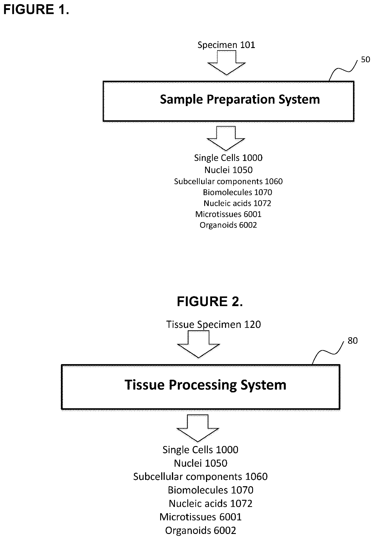 Method and apparatus for processing tissue samples