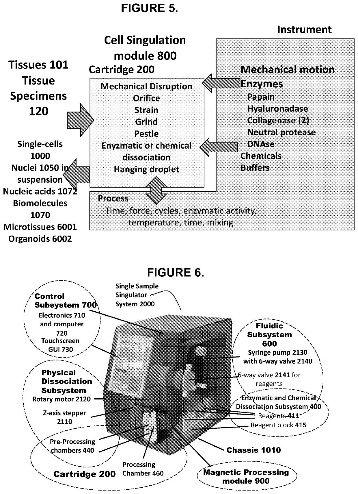 Method and apparatus for processing tissue samples