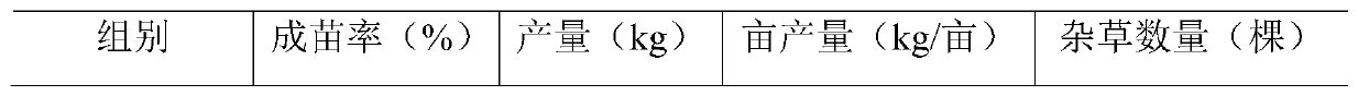 Thermophilic sporotrichum YM-2, compound bacterial agent thereof, and application of compound bacterial agent