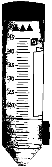 Method for rapidly separating and measuring ground-state iron in ferrous bisglycinate chelate