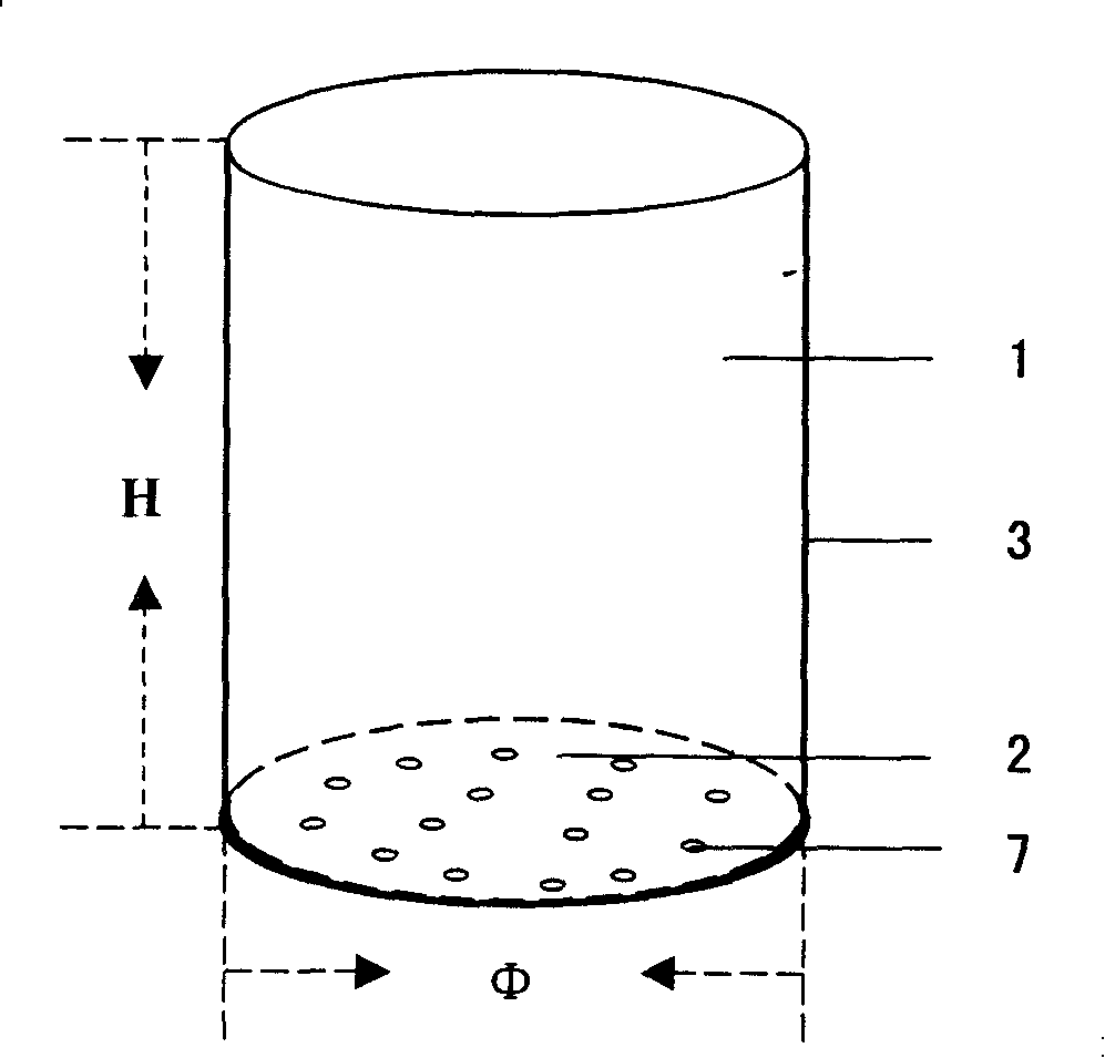 Corn roots space-time structure measuring device