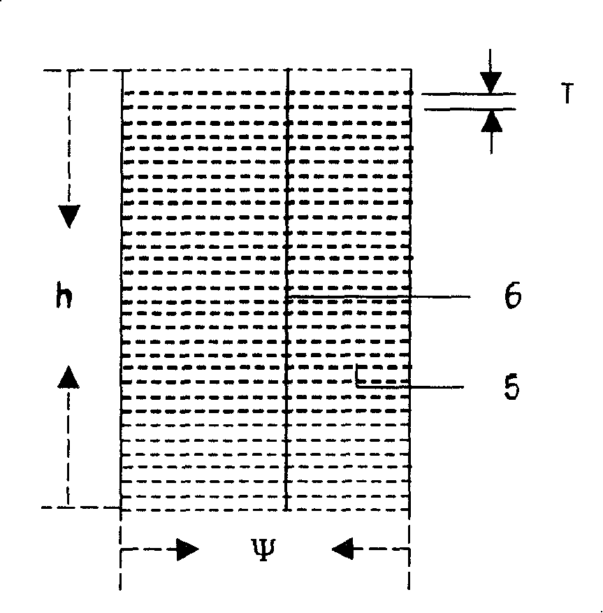 Corn roots space-time structure measuring device